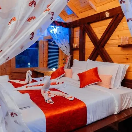 Dsr Wooden Cottages-2